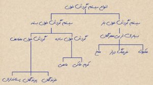 3-7-300x167 روش های صحیح مطالعه برای کنکور