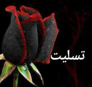 778116790-parsnaz-com-300x283 778116790-parsnaz-com