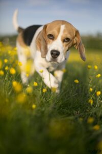 gettyimages-462376265-200x300 gettyimages-462376265