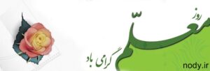 moalem-300x102 moalem