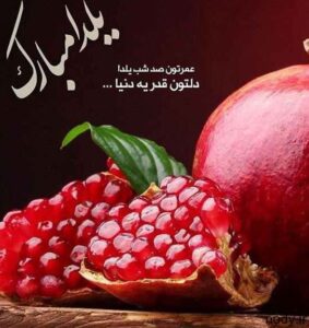 yaldanight-photokade-4-283x300 yaldanight-photokade-4
