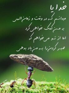 خدایا-کمکم-کن-8-222x300 خدایا-کمکم-کن-8