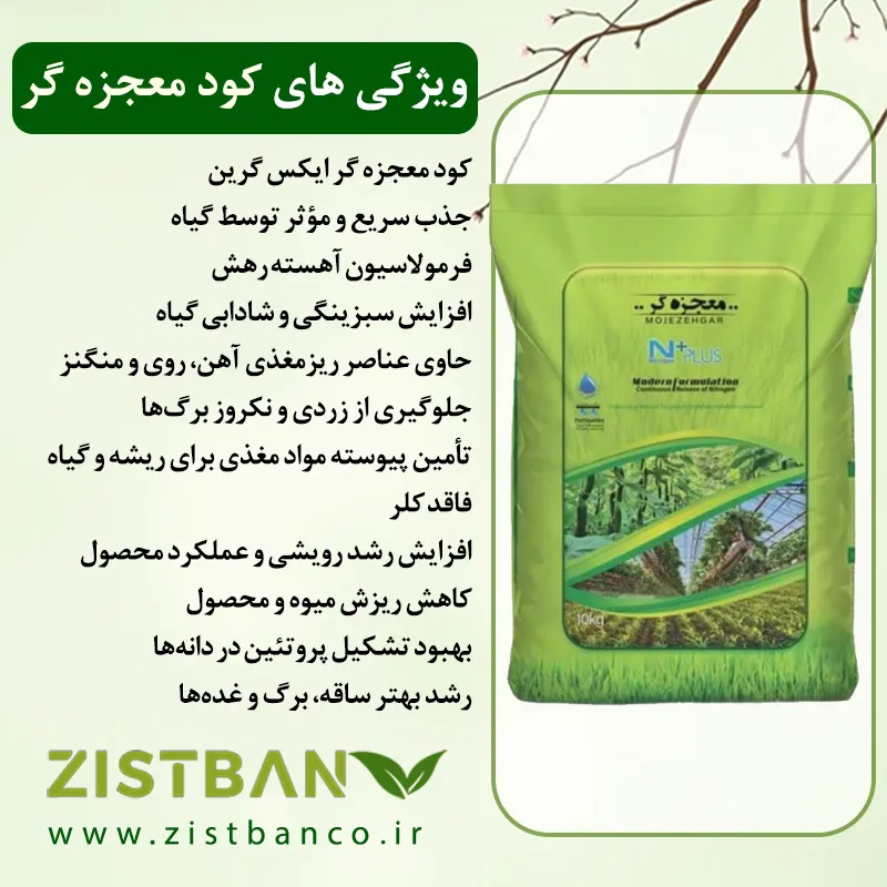 کود معجزه گر برای شالی؛ راهنمای طلایی افزایش تناژ و کیفیت برنج